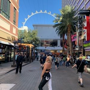 Meet your Posher, Maddy